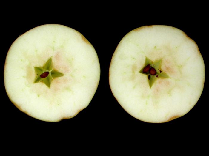 Pomme - Coeur brun