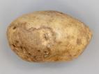 Pomme de terre - Gel en entrepôt
