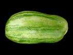 Tomate - Argenture