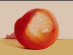 Tomate - Insolation (coup de soleil)