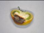 Tomate - Carence en calcium