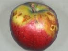 Pomme - Échaudure