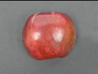 Pomme - Cœur aqueux (vitrescence)
