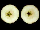 Pomme - Coeur brun