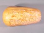 Courges - Chancre gommeux (Stagonosporopsis cucurbitacearum)