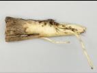 Betterave - Rhizoctone commun (Rhizoctonia solani)_5