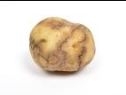  Pomme de terre - Virus Y de la pomme de terre (PVY)