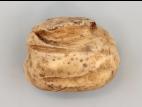 Pomme de terre - thifensulfuron-méthyle (2)_2