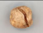 Pomme de terre - thifensulfuron-méthyle (2)_4