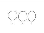Identification_Orbiculaire