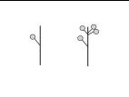 Identification_FleurIsolée