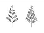 Identification_FleurPanicule