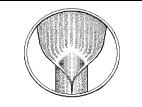 Identification_AucuneLigule