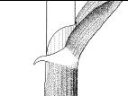 Identification_Auricule