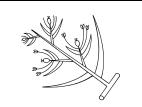 Identification_InflGraminee