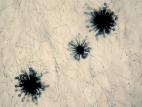 Chaetomium-02_LQ