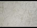 Fusarium_equiseti_5