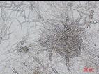 Fusarium_equiseti_3
