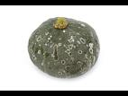 Courges - Alternariose du fruit (Alternaria sp.)_1