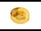 courge_stag_cucu_56498d_ad_iriis