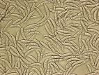 Fusarium_culmorum_1