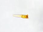 Puccinia_coronata_5