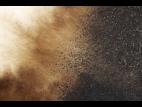 Ulocladium_sp_2