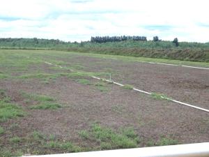 Canneberge - Gel hivernal