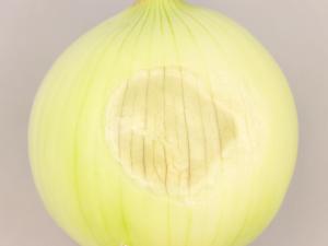 Oignon sec - Insolation (coup de soleil)_6