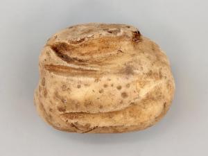 Pomme de terre - thifensulfuron-méthyle (2)_2