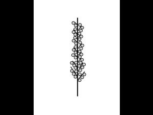 Identification_InflFaux-Epi